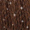 C938 DMC Etoile Ultra Dark Coffee Brown. Нитка для вишивання