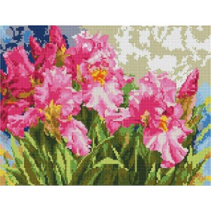 Алмазна мозаїка ColorArt "Рожеві іриси" 30х40 ST466