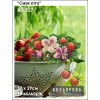Картина для вишивки формату А3 227 "Смак літа"