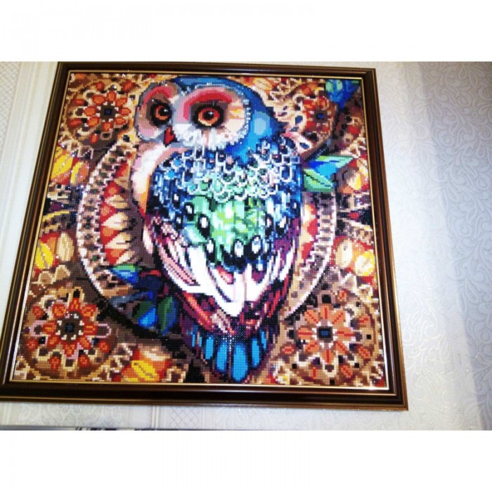 Алмазна вишивка (набір) "Яскрава сова" (DM-346)