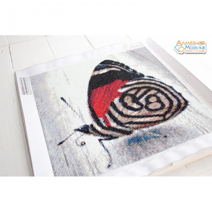 Алмазна вишивка (набір) "Яскравий метелик" (DM-179)