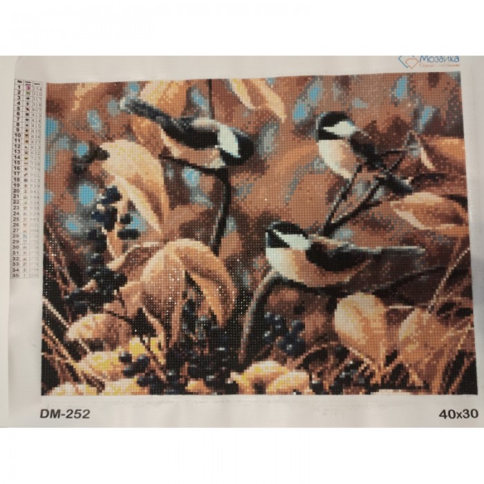 Алмазна вишивка (набір) "Синички восени" (DM-252)