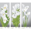 Схема картини Триптих "Сіро-зелені іриси, тюльпани, кали" для вишивки бісером на габардині ТК-036