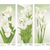 Схема картини Триптих "Бежево-зелені іриси, тюльпани, кали" для вишивки бісером на габардині ТК-039