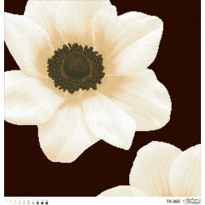Схема картини "Загадкова анемона" (бежева) для вишивки бісером на габардині (ТК-065)