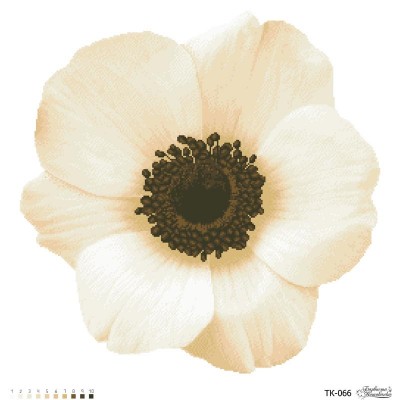 Схема картини "Загадкова анемона" (бежева) для вишивки бісером на габардині (ТК-066)