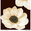 Схема картини "Загадкова анемона" (бежева) для вишивки бісером на габардині (ТК-067)