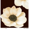 Схема картини "Загадкова анемона" (бежева) для вишивки бісером на габардині (ТК-067)