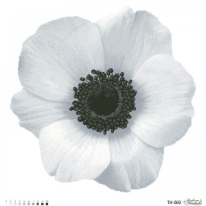 Схема картини "Загадкова анемона" (сіра) для вишивки бісером на габардині (ТК-069)