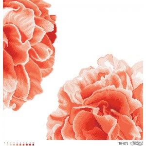 Схема картини "Розкішні персикові півонії" для вишивки бісером на габардині (ТК-071)