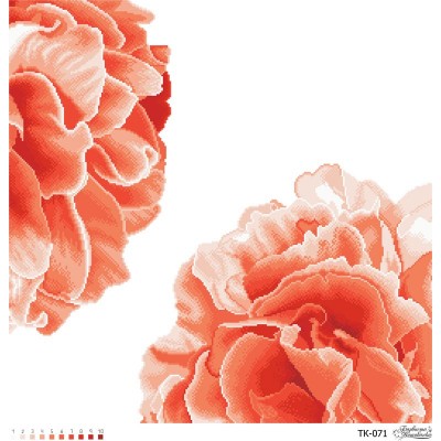 Схема картини "Розкішні персикові півонії" для вишивки бісером на габардині (ТК-071)