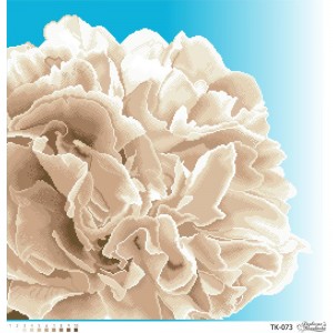 Схема картини "Розкішна бежева півонія" для вишивки бісером на габардині (ТК-073)