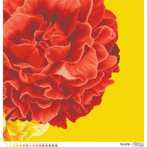 Схема картини "Розкішні жовто-червоні півонії" для вишивки бісером на габардині (ТК-078)